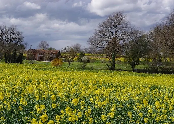 La Ferme De Menoun Dom wakacyjny Thil (Haute-Garonne)